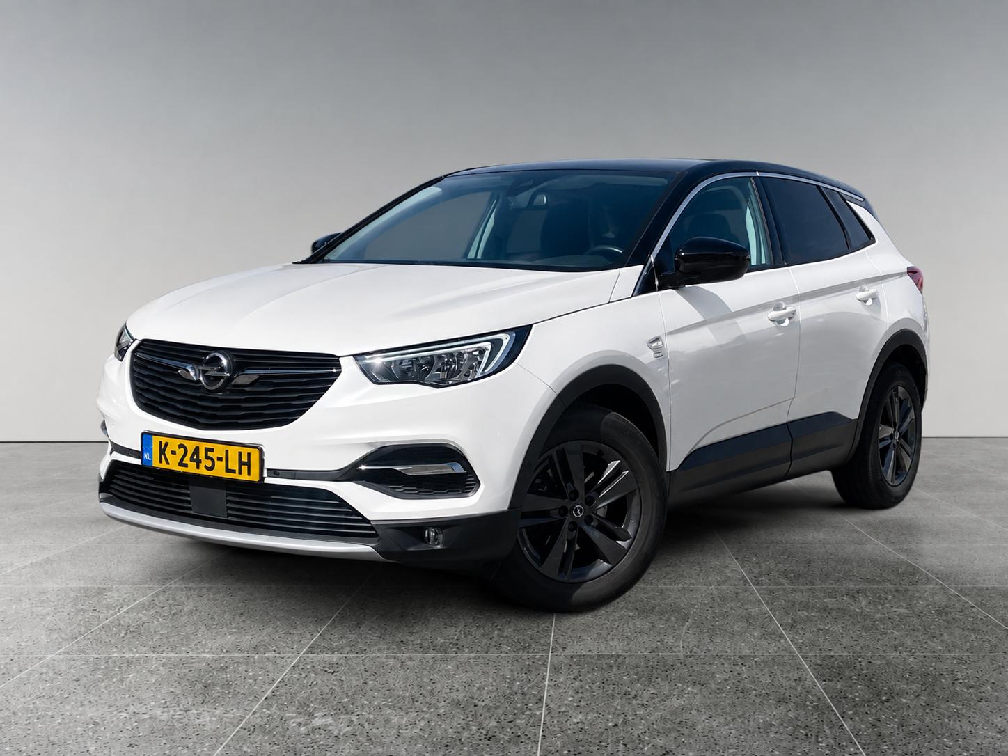 Foto van Opel Grandland X
