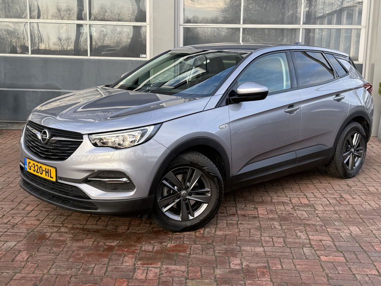 Foto van Opel Grandland X