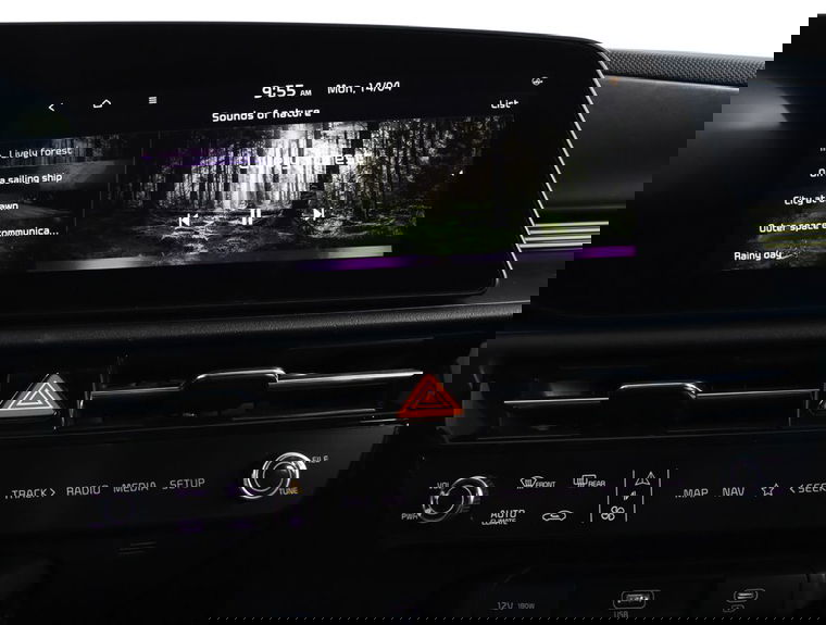 Kia Niro EV