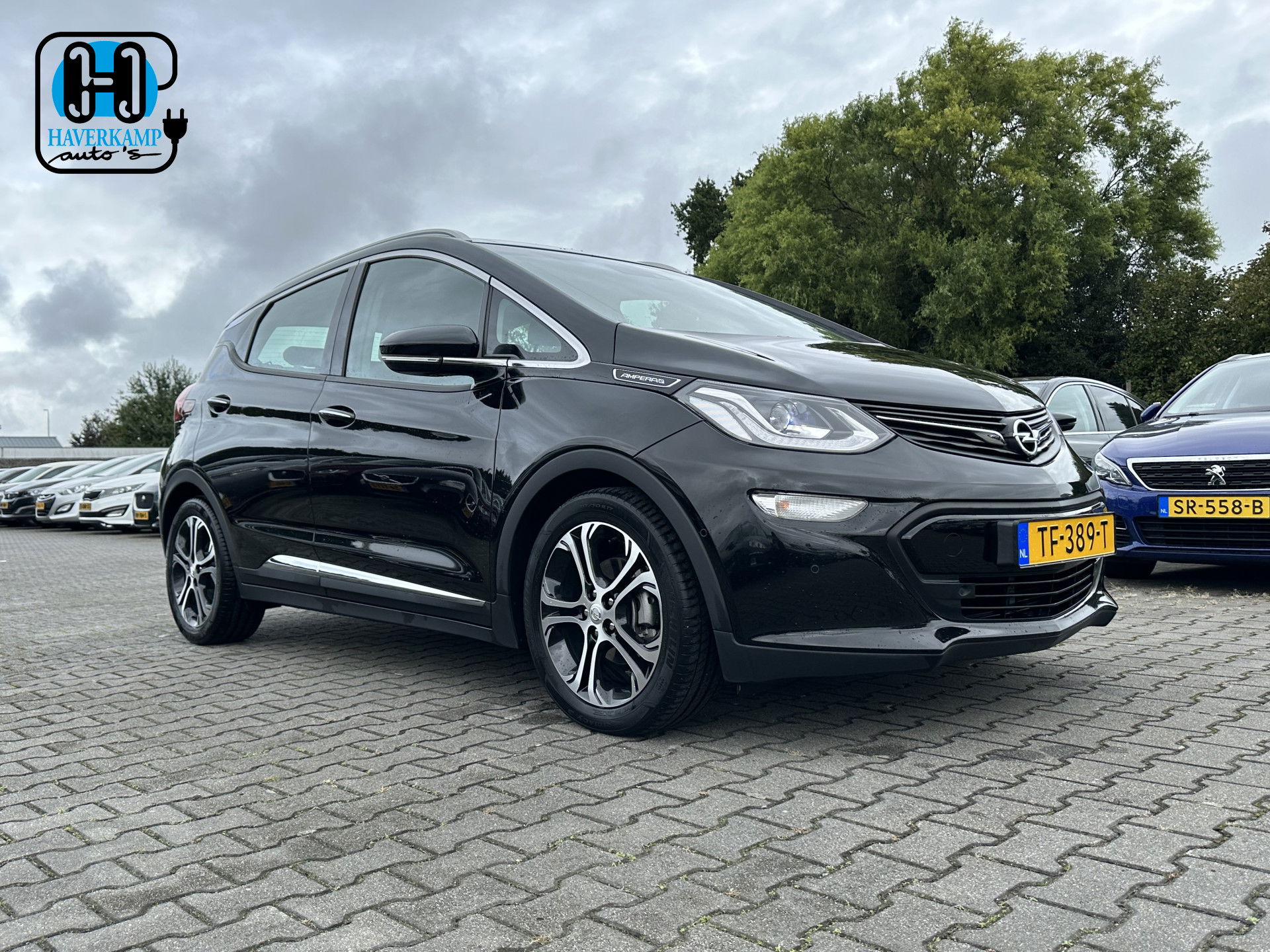 Foto van Opel Ampera-E