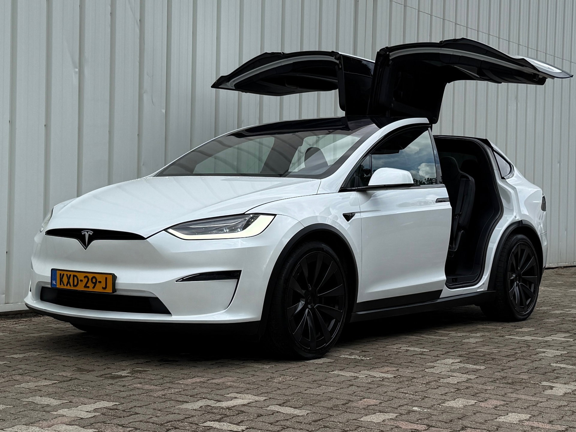 Foto van Tesla Model X