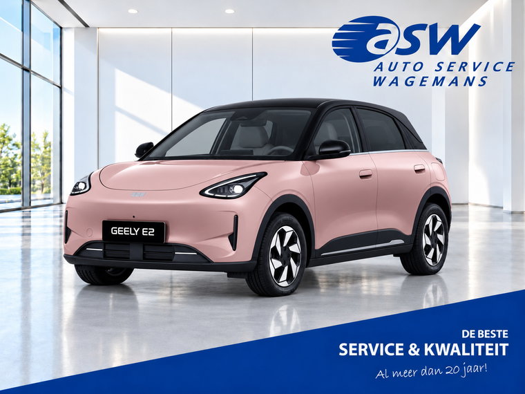 Foto van Geely E2