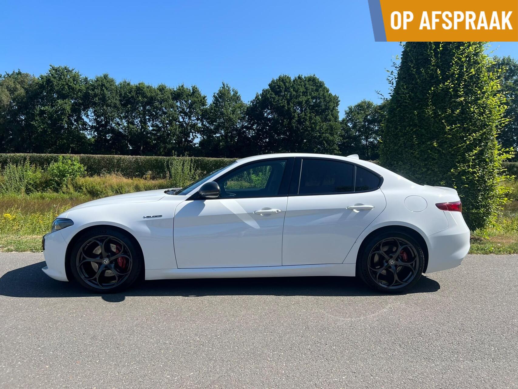 Foto van Alfa Romeo Giulia