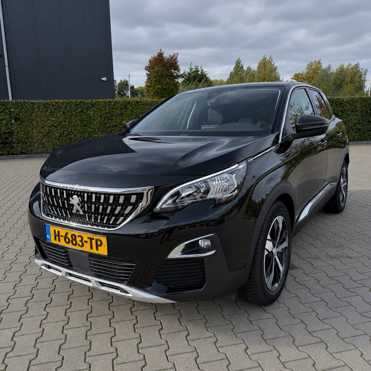 Foto van Peugeot 3008