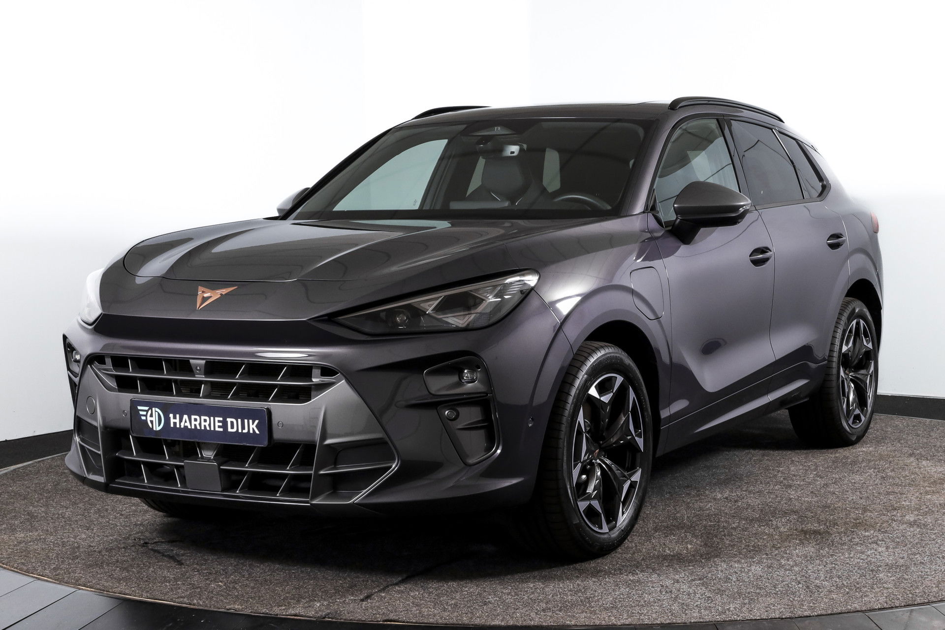 Foto van CUPRA Terramar