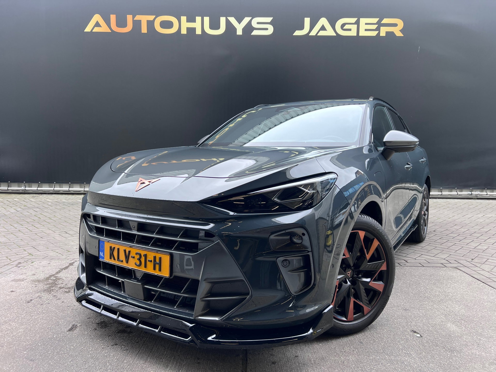 Foto van CUPRA Terramar