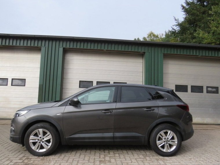Foto van Opel Grandland X