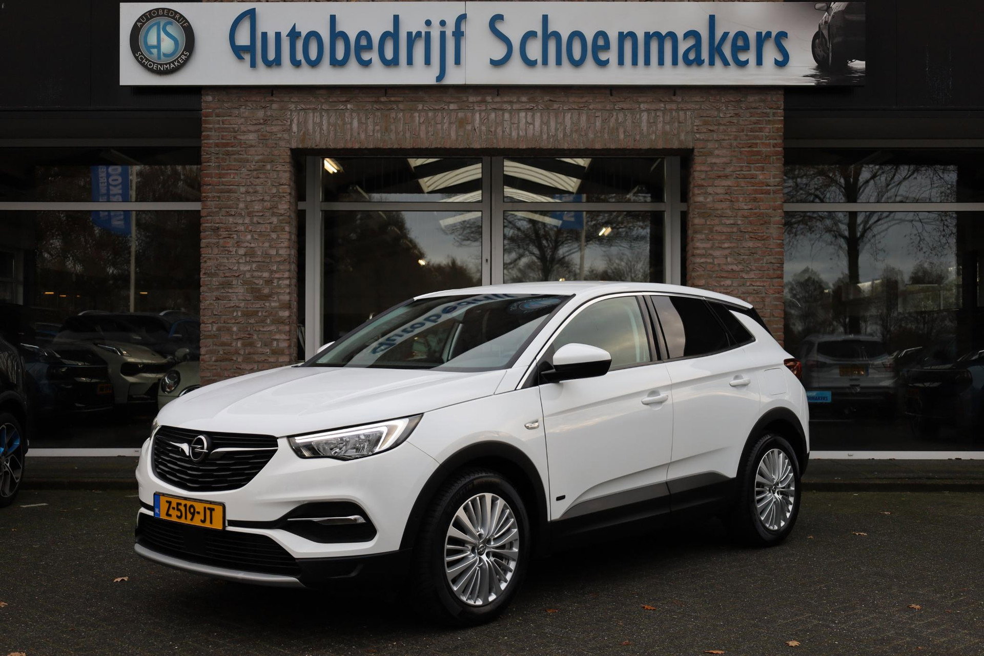 Foto van Opel Grandland X