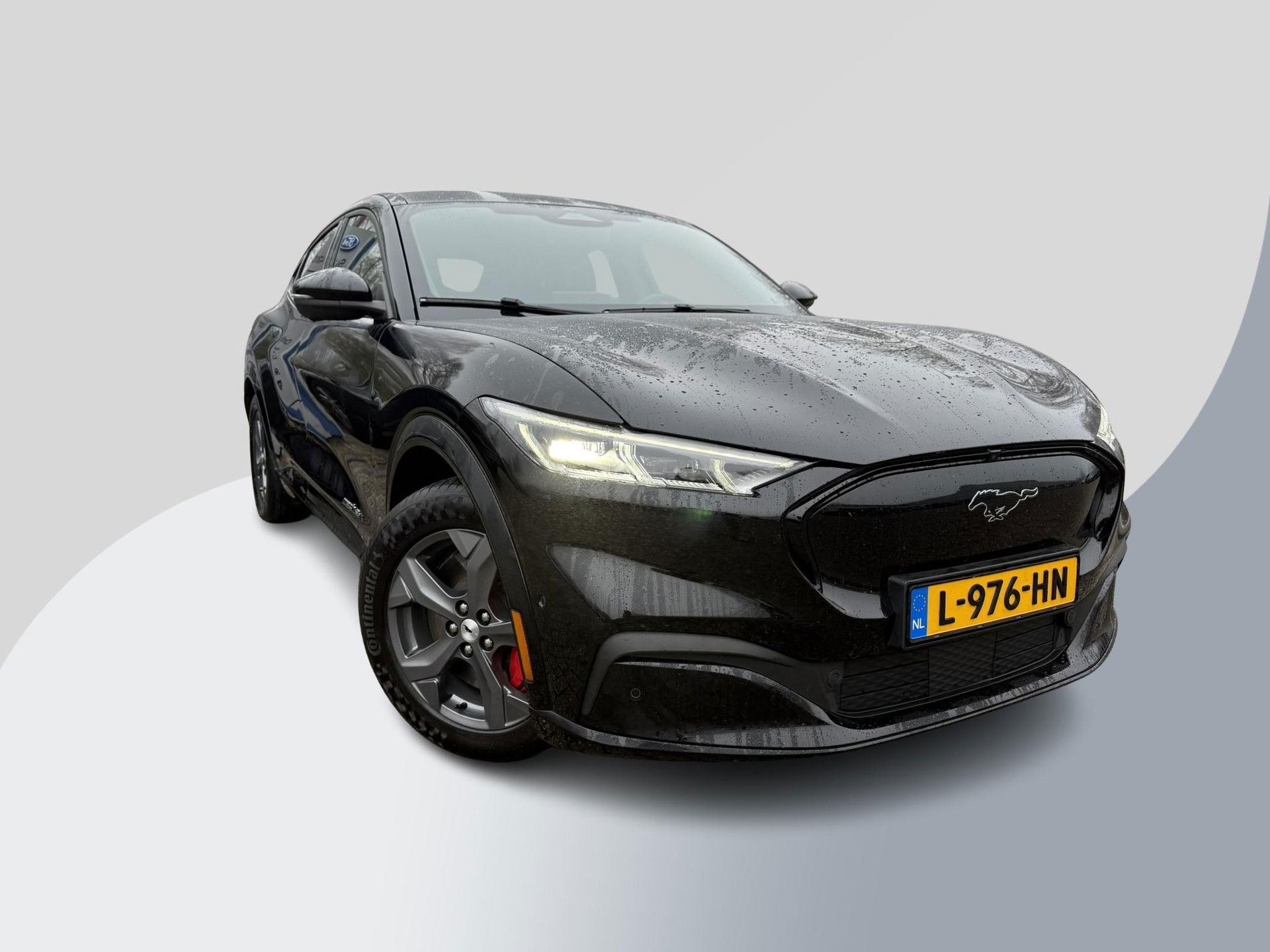 Foto van Ford Mustang Mach-E