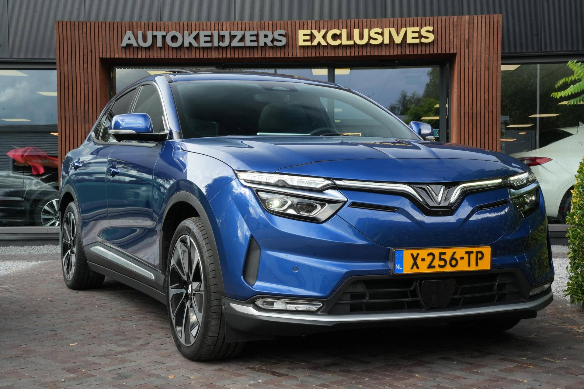 Foto van Vinfast VF 8