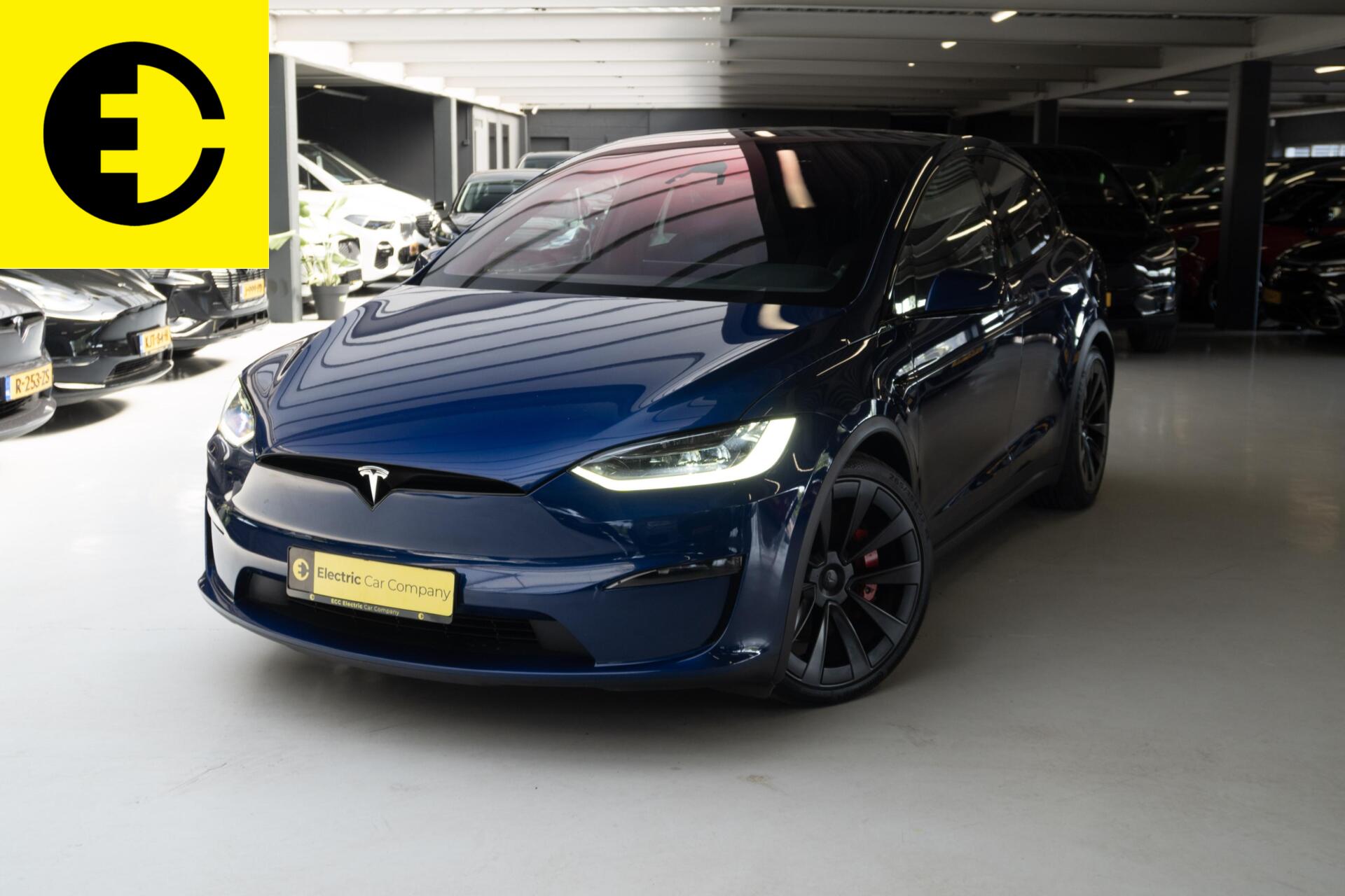 Foto van Tesla Model X