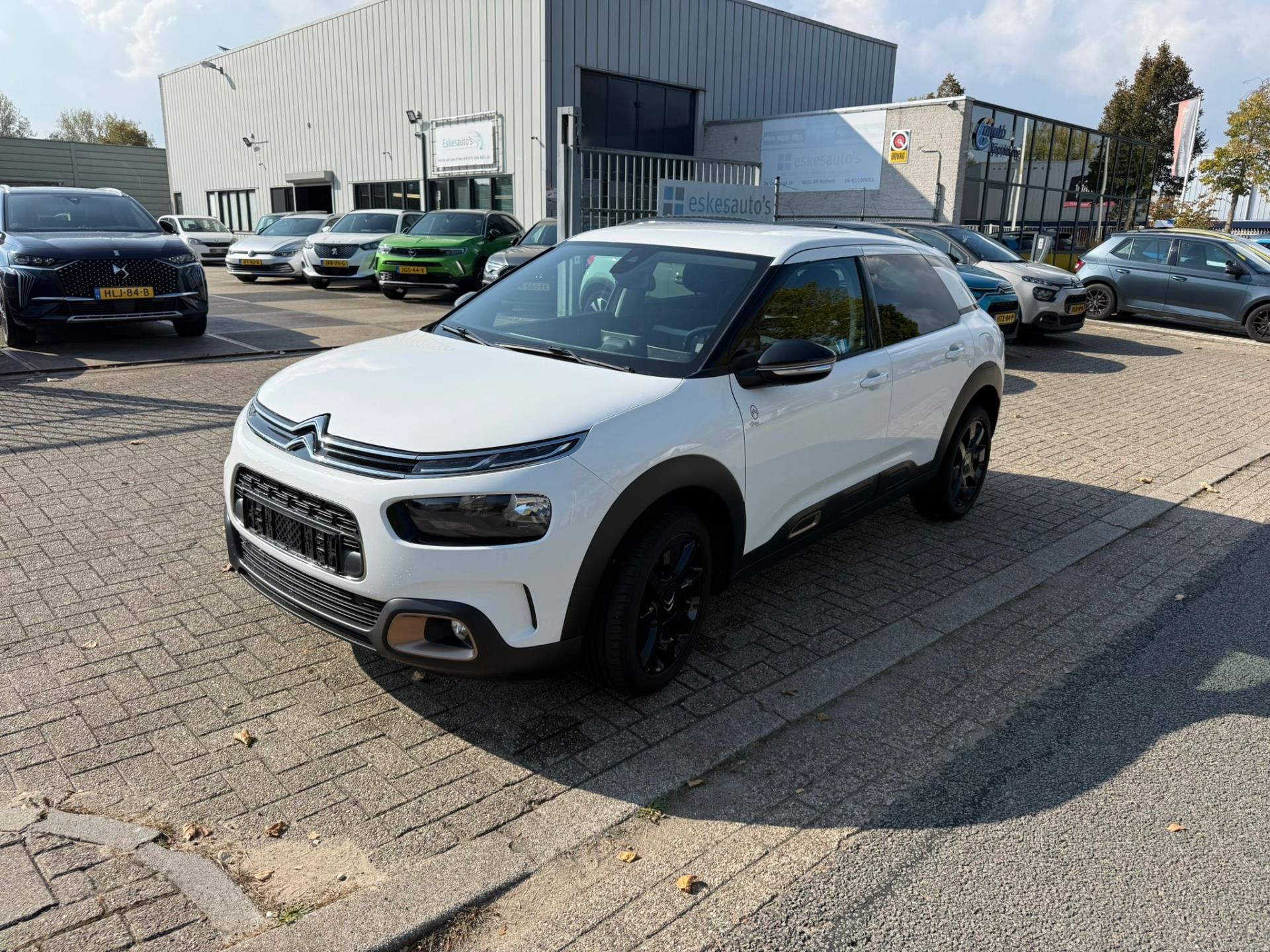 Foto van Citroën C4 Cactus