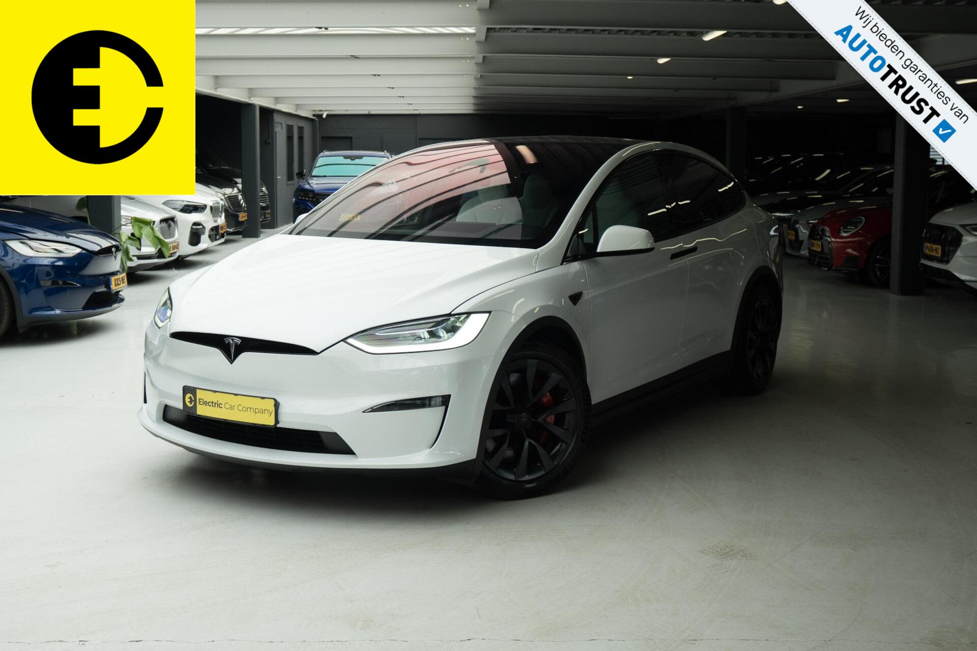Foto van Tesla Model X