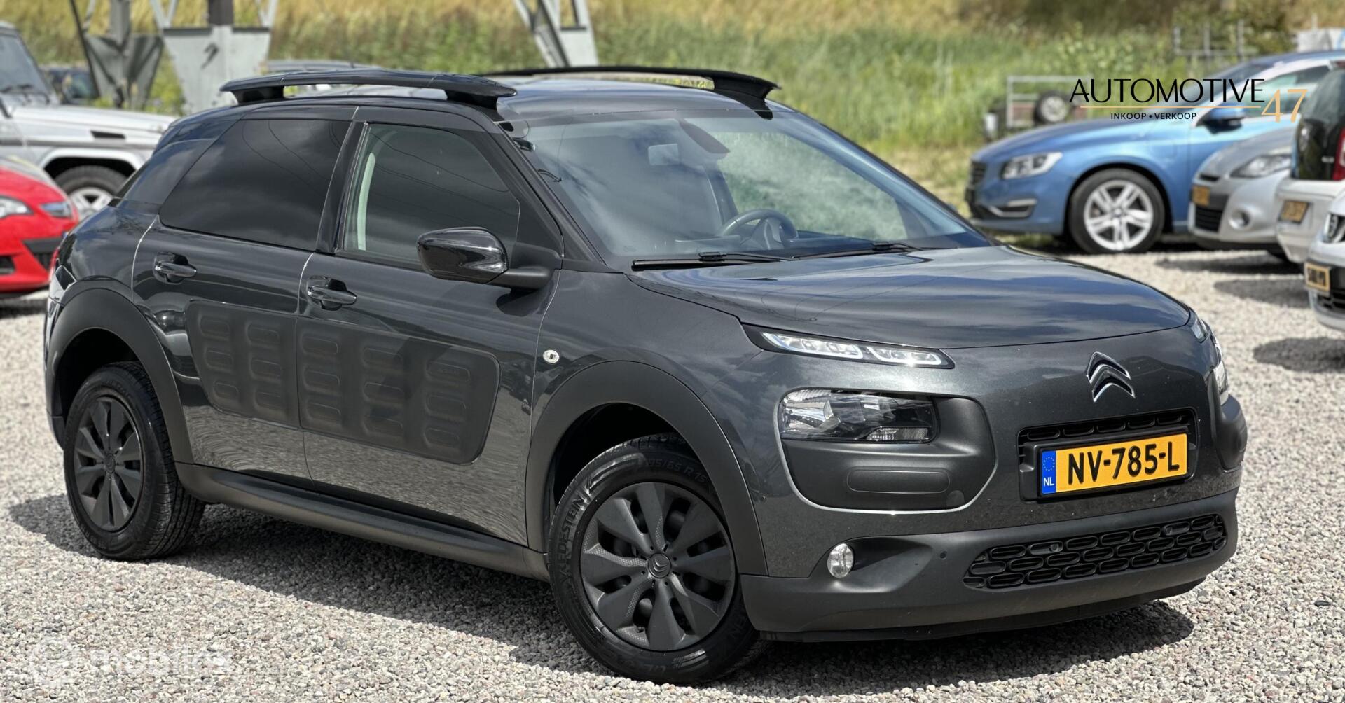 Foto van Citroën C4 Cactus