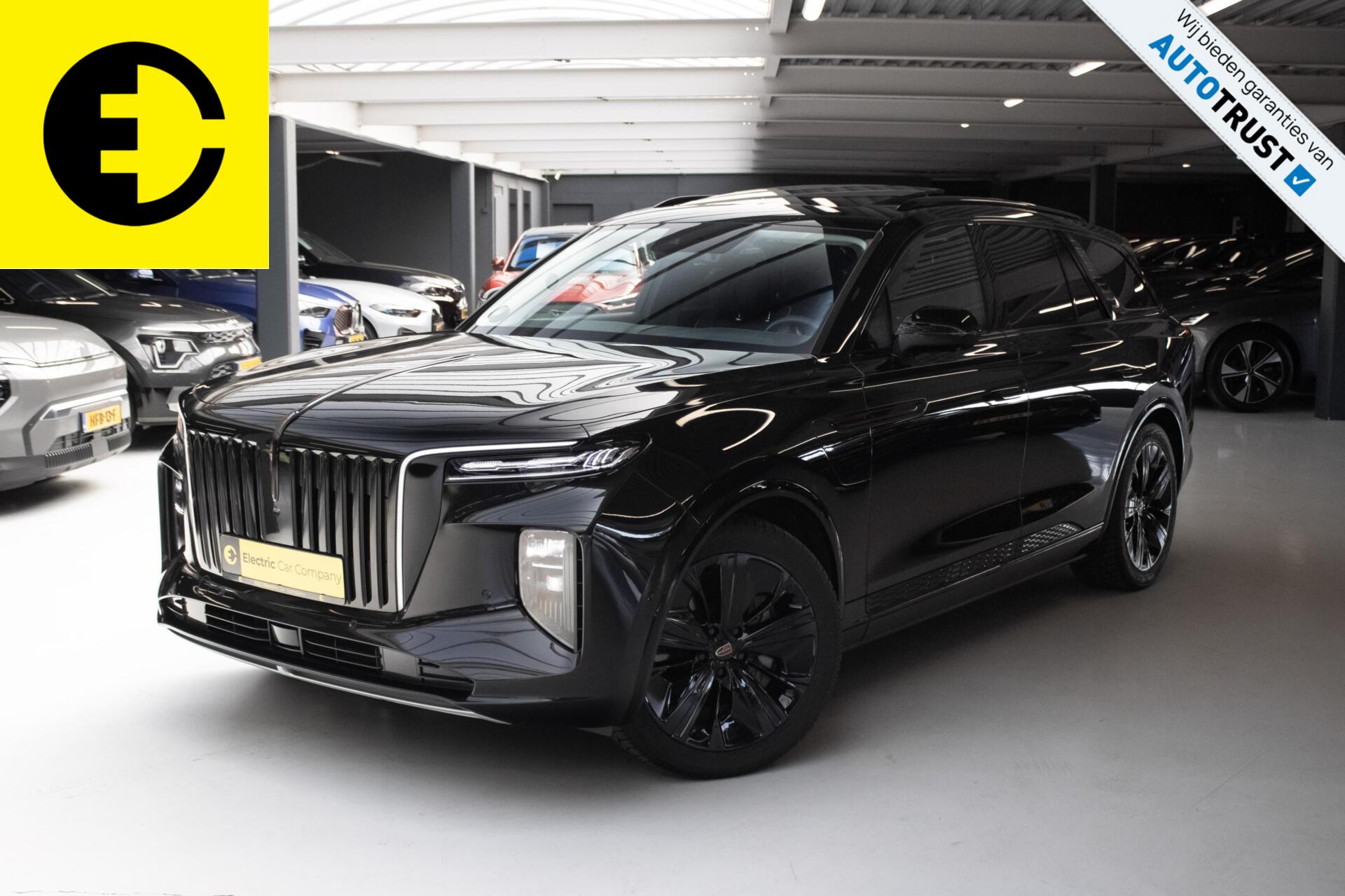 Foto van Hongqi E-HS9