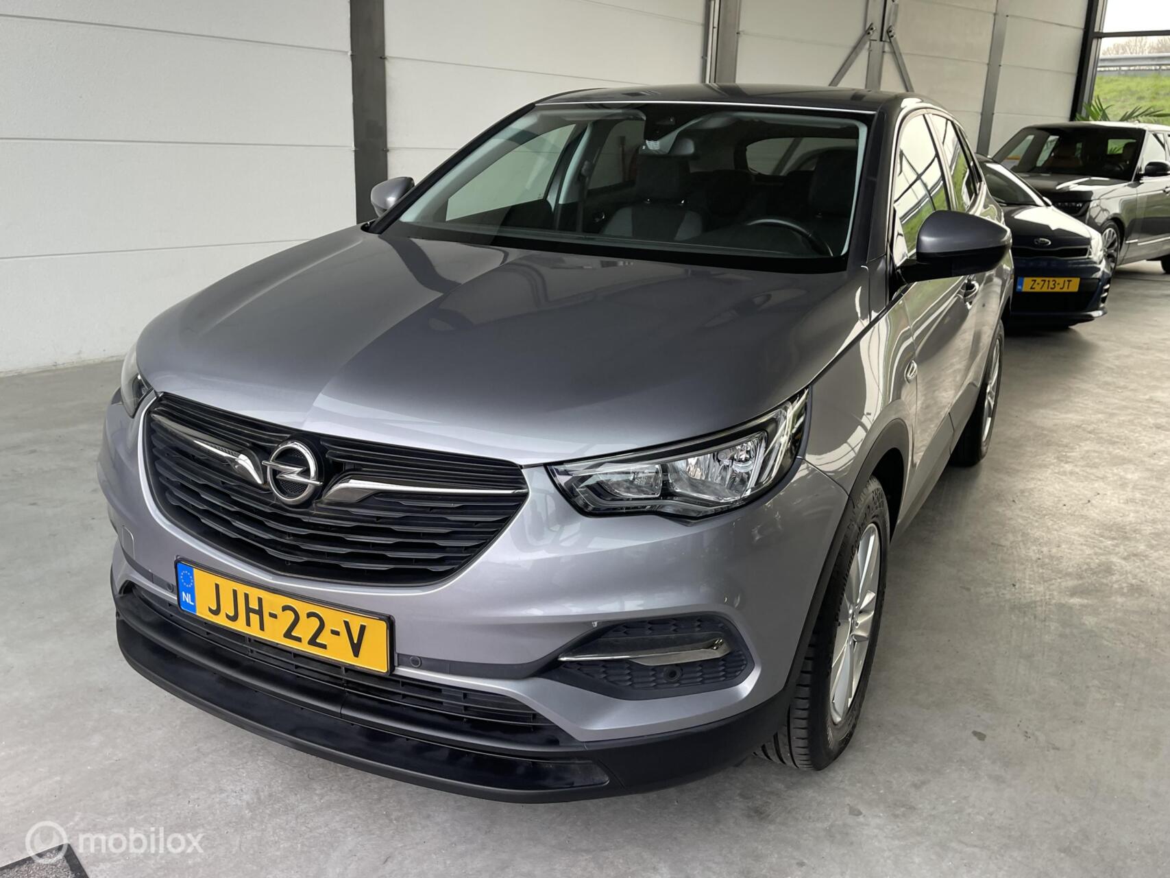 Foto van Opel Grandland X