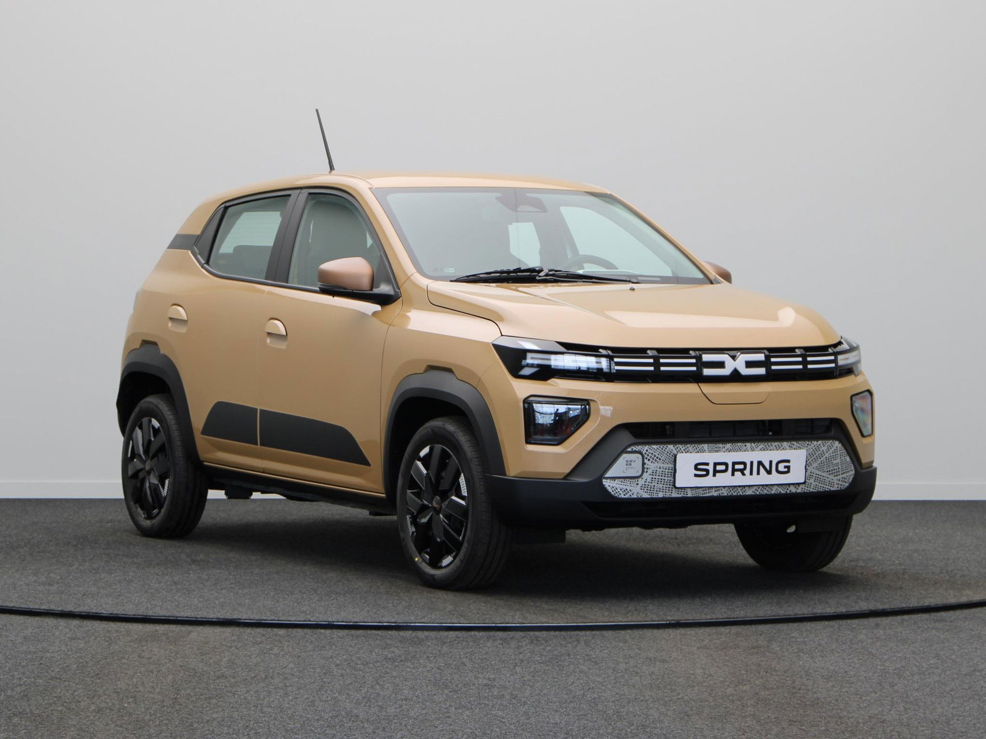 Foto van Dacia Spring