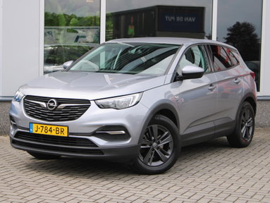 Foto van Opel Grandland X