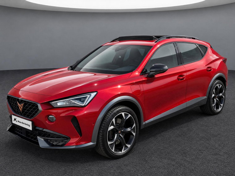 Foto van CUPRA Formentor