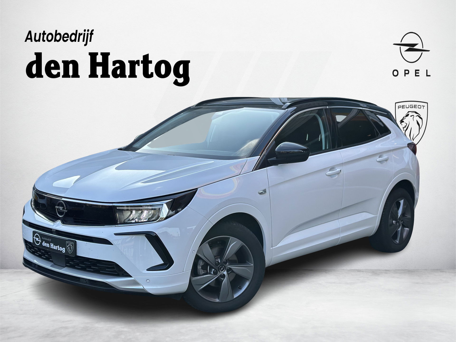 Foto van Opel Grandland