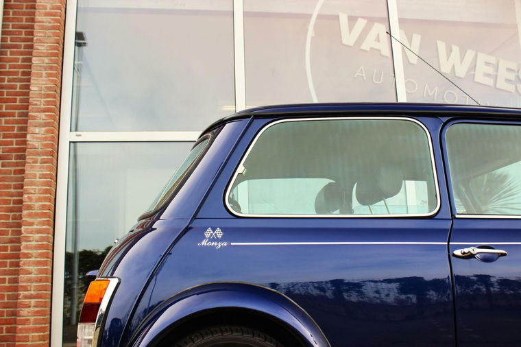 Rover Mini