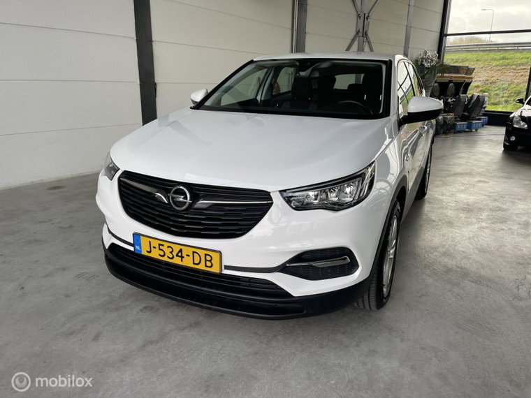 Foto van Opel Grandland X