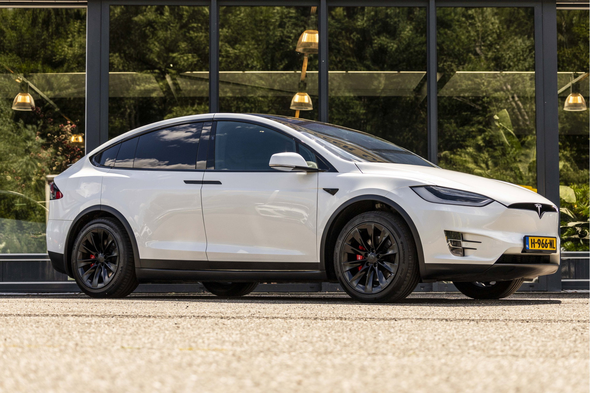 Foto van Tesla Model X