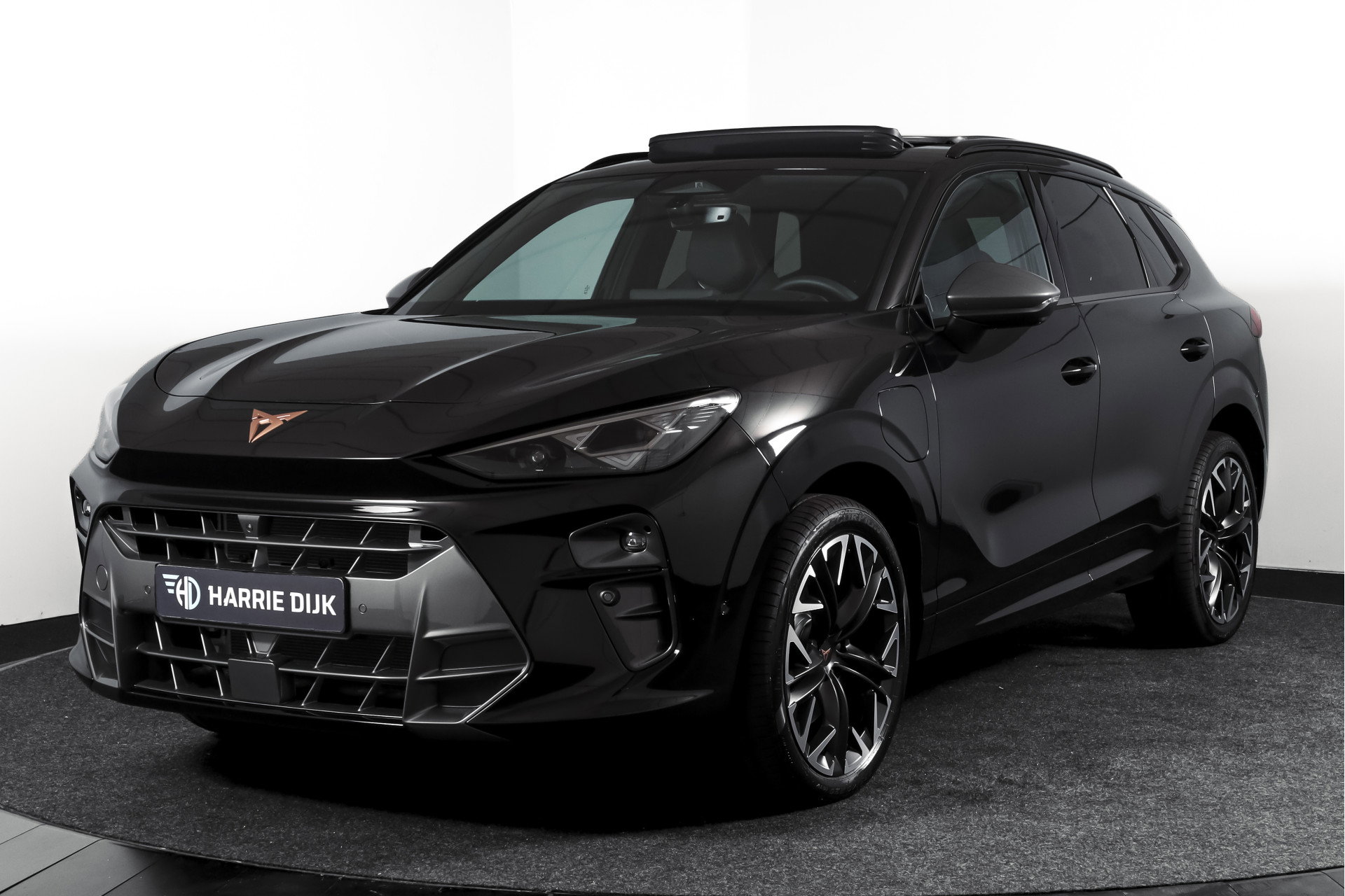 Foto van CUPRA Terramar