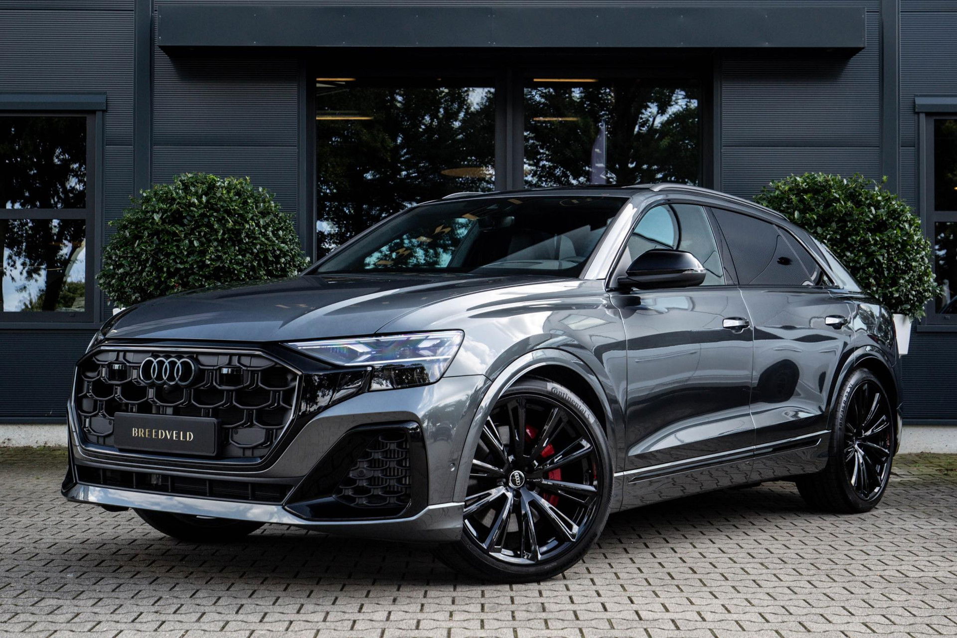 Foto van Audi Q8