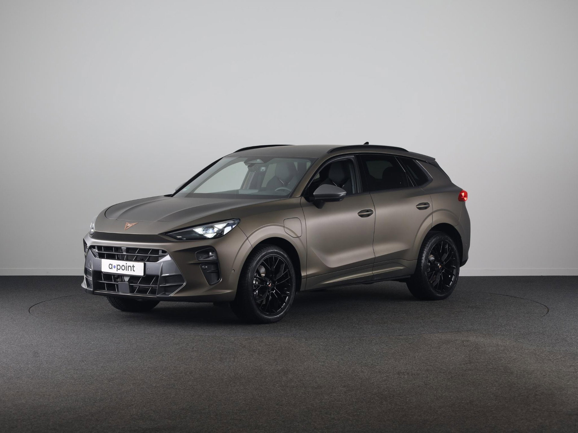 Foto van CUPRA Terramar
