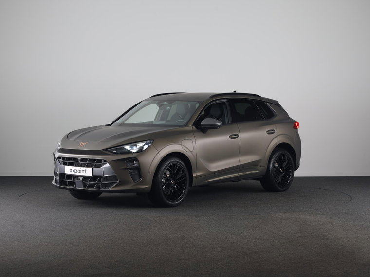 Foto van CUPRA Terramar