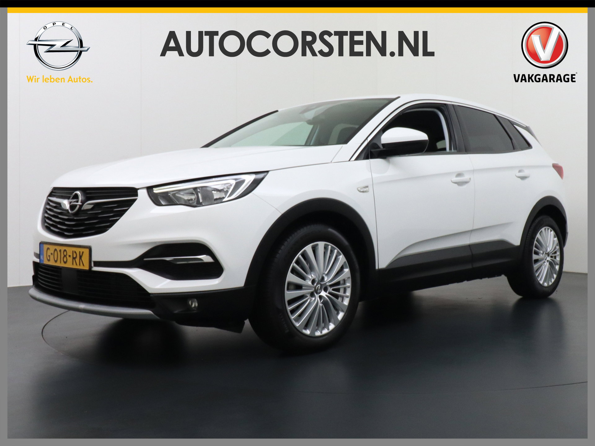 Foto van Opel Grandland X