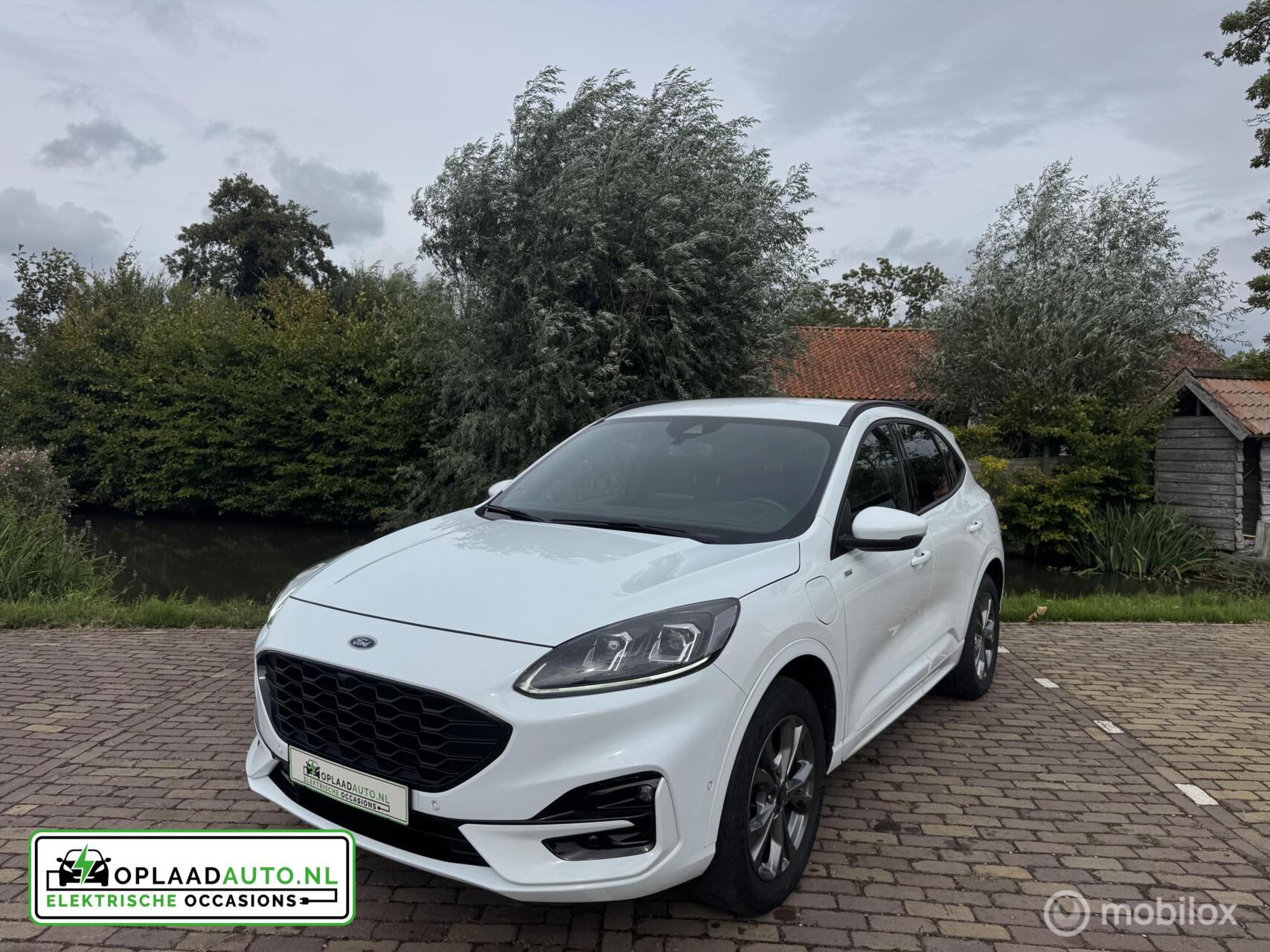 Foto van Ford Kuga