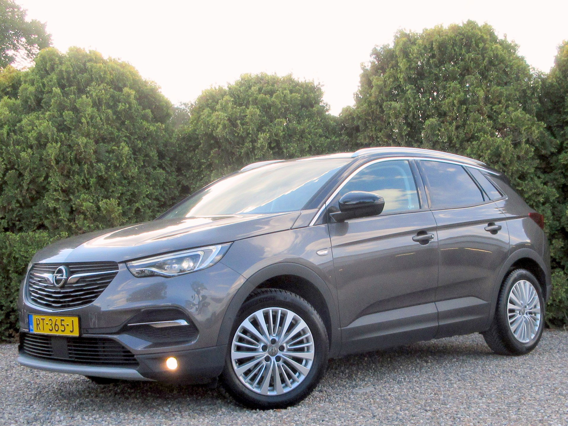 Foto van Opel Grandland X