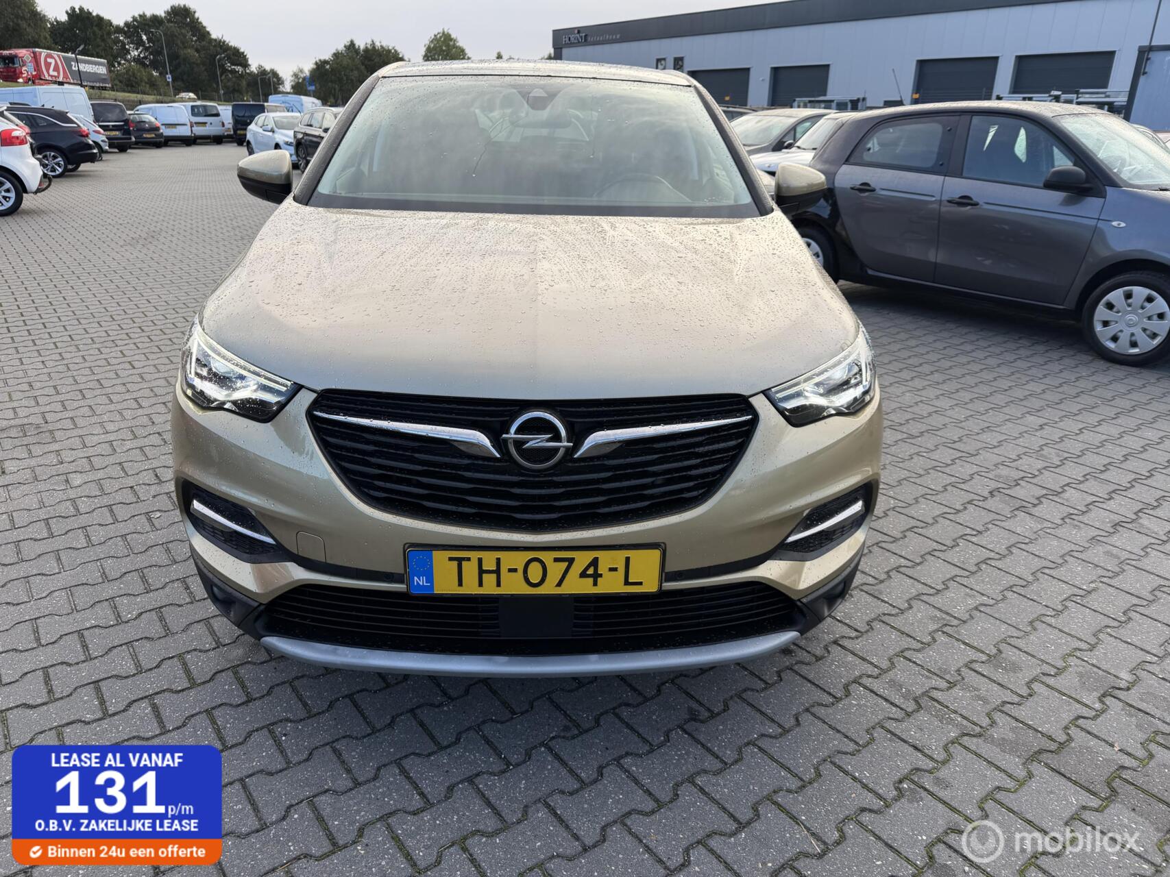 Foto van Opel Grandland X