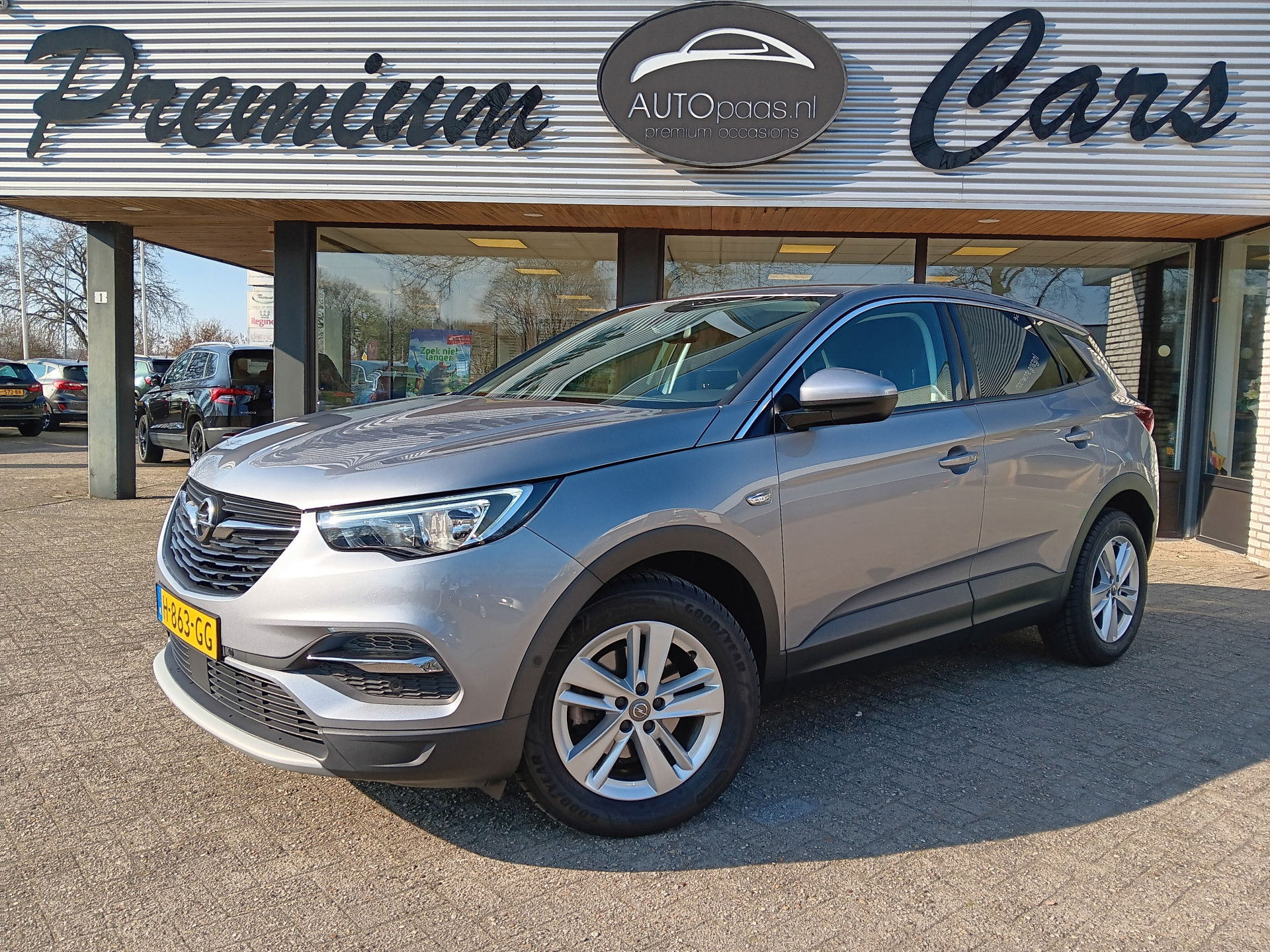 Foto van Opel Grandland X