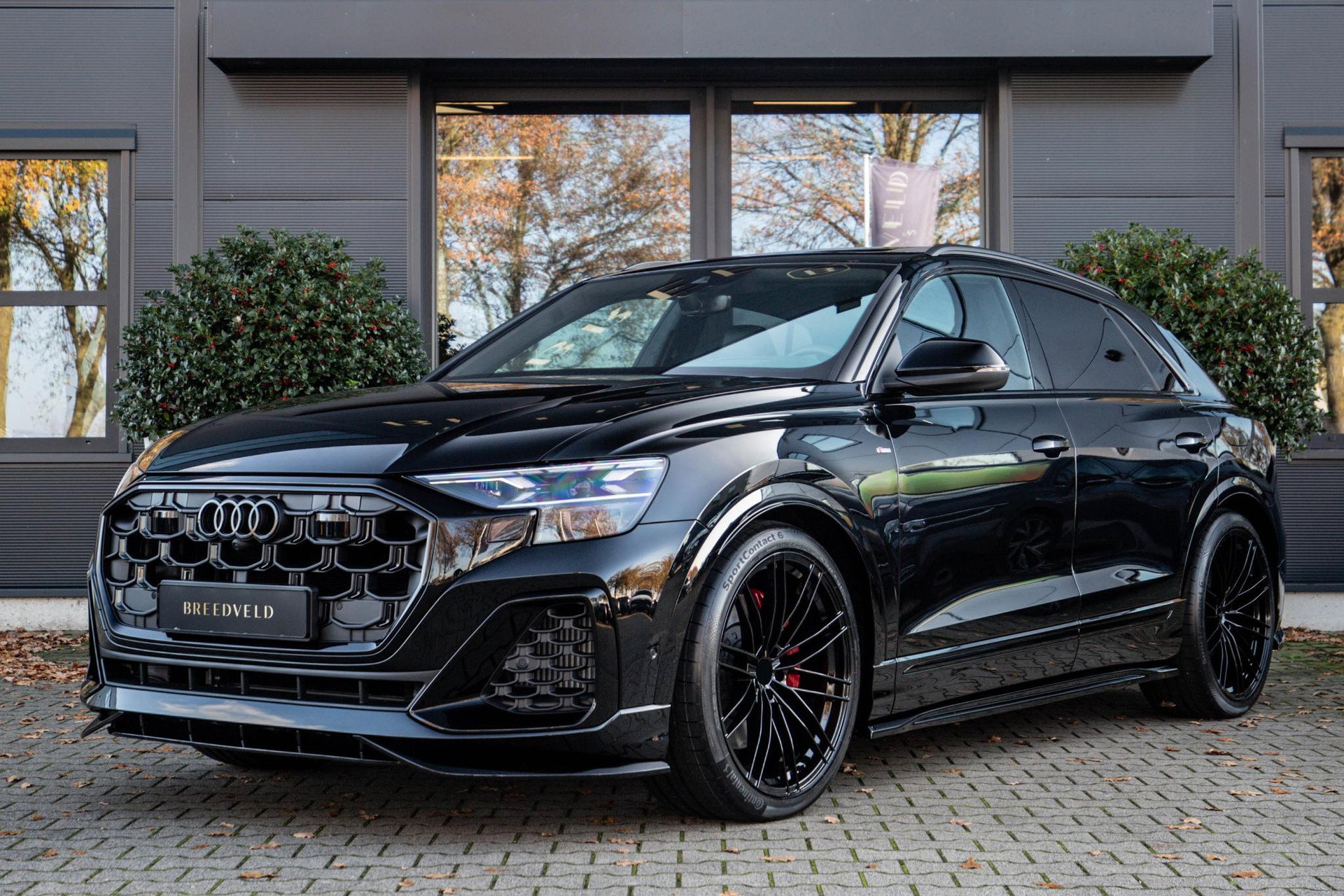 Foto van Audi Q8