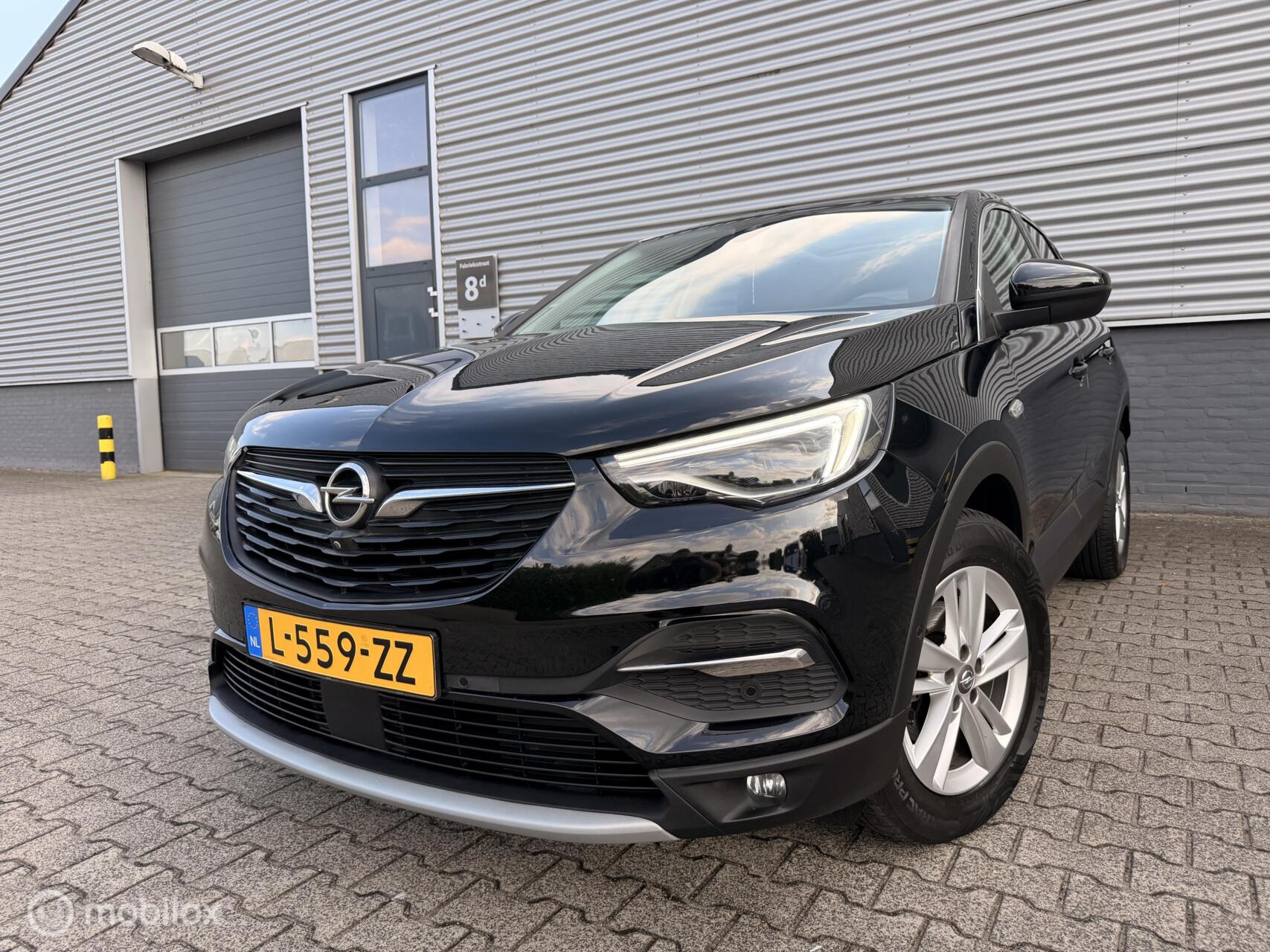Foto van Opel Grandland X