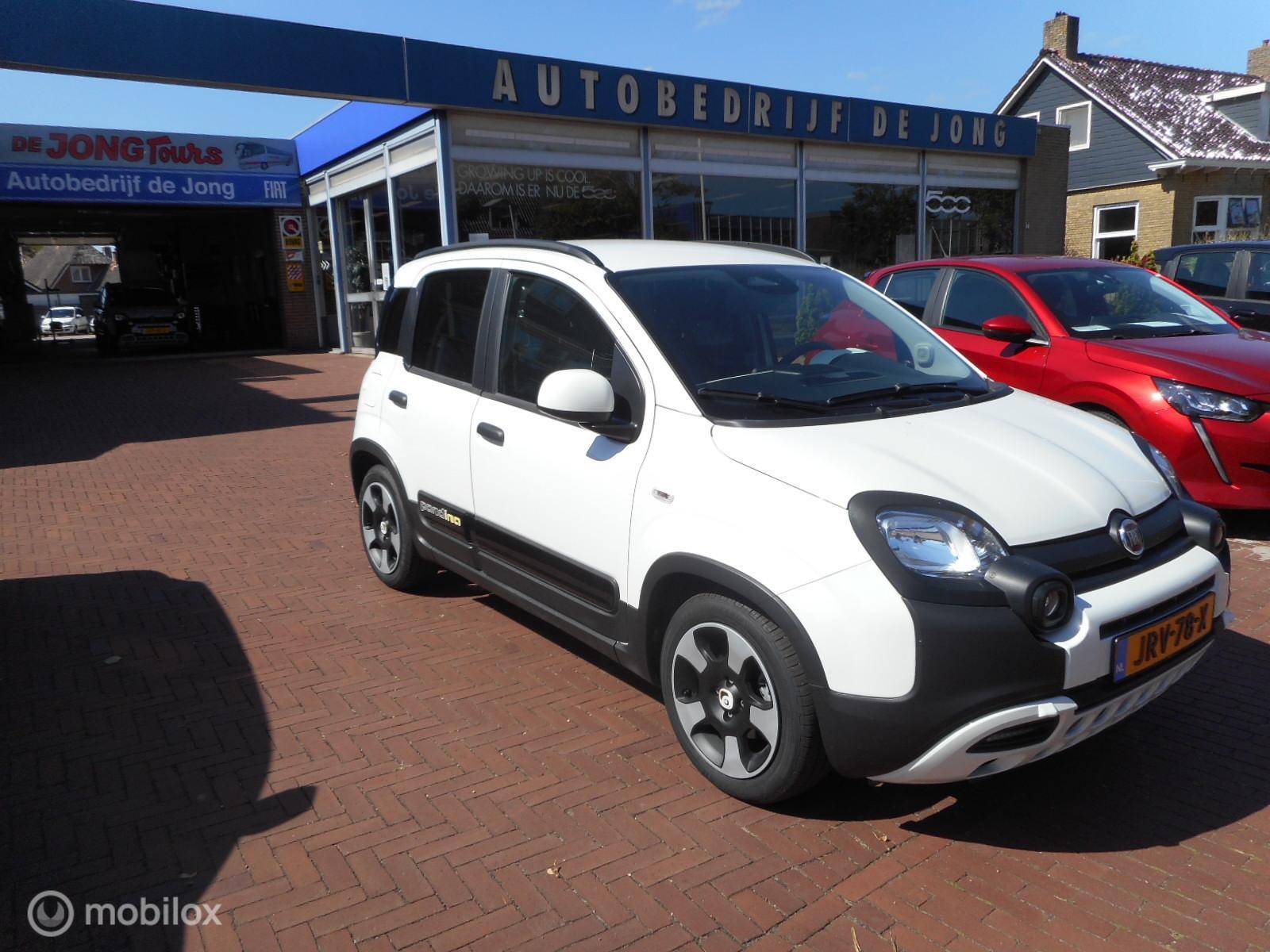 Foto van Fiat Pandina