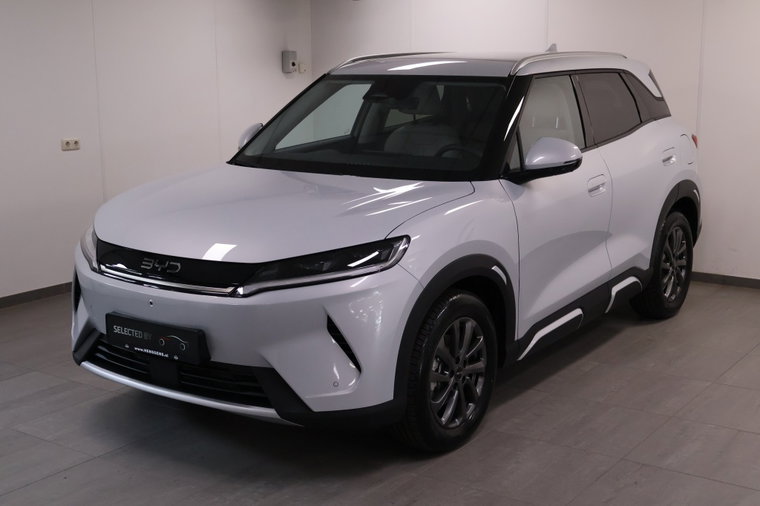 Foto van BYD ATTO 2