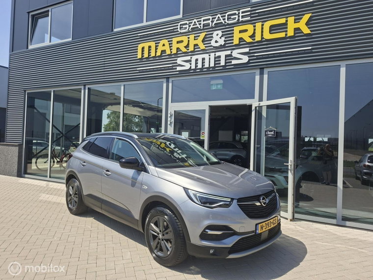 Foto van Opel Grandland X