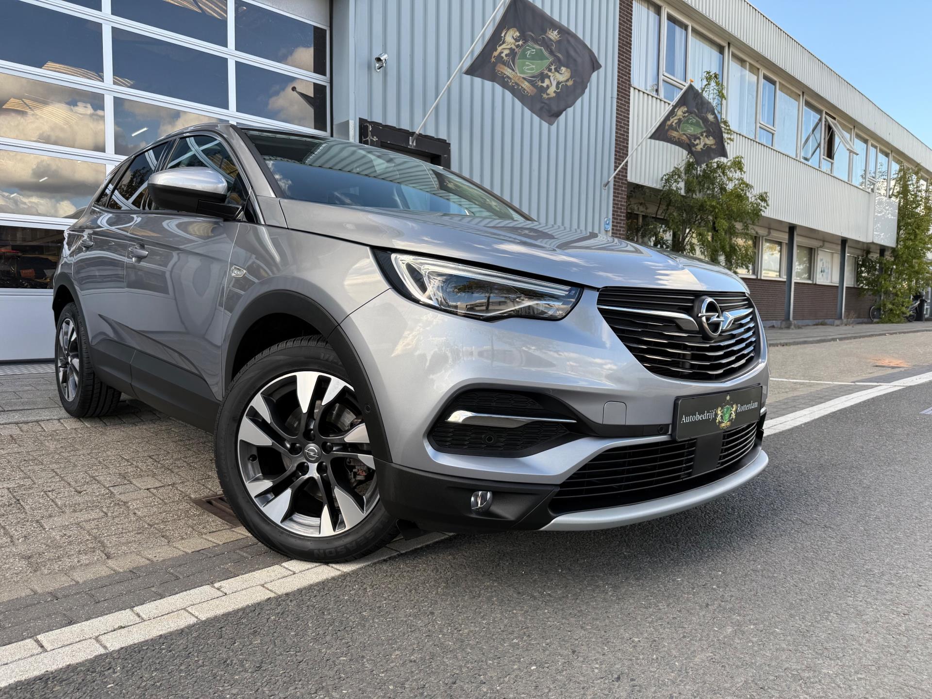Foto van Opel Grandland X