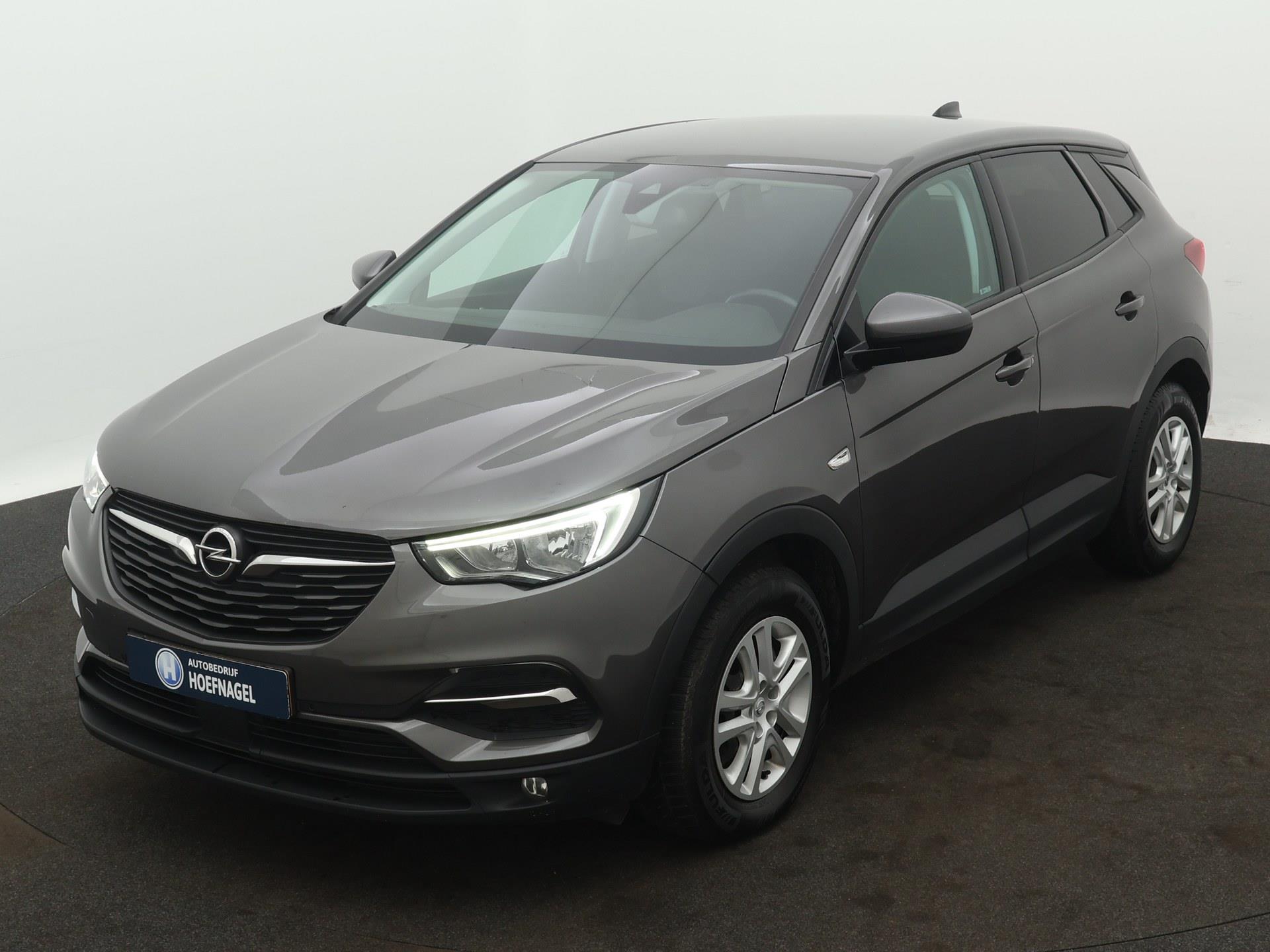 Foto van Opel Grandland X