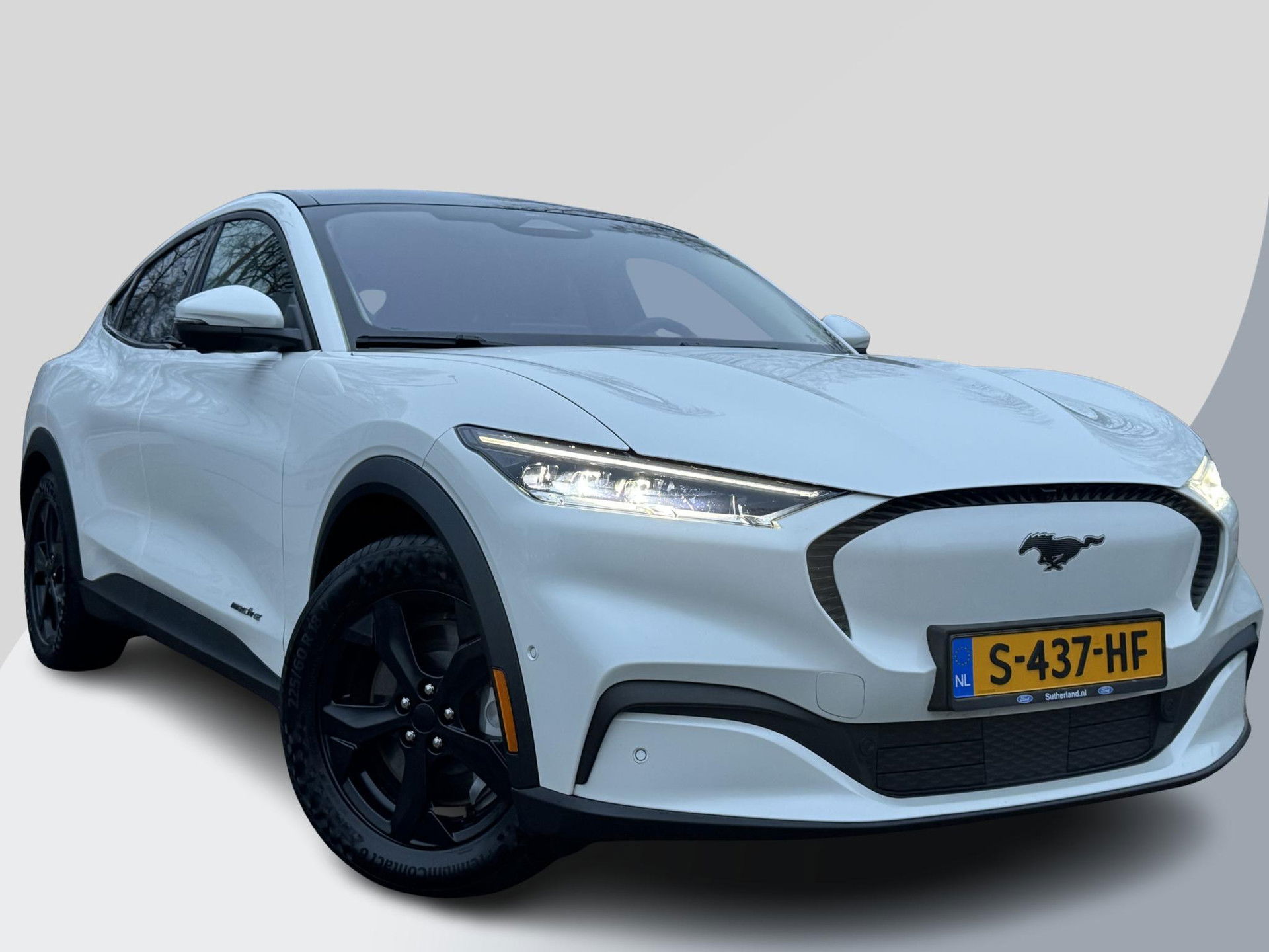 Foto van Ford Mustang