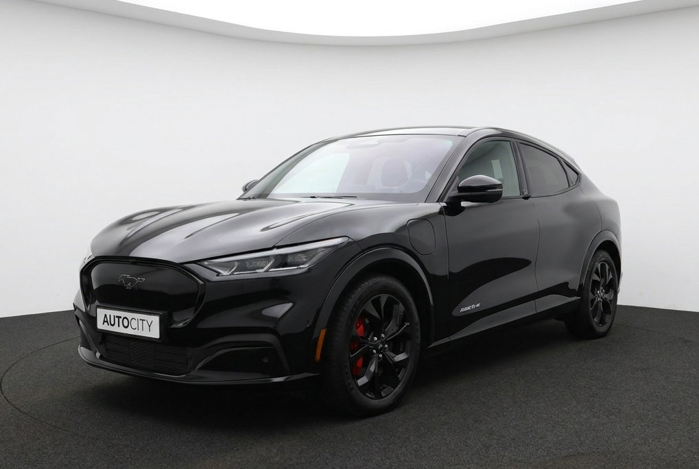 Foto van Ford Mustang Mach-E