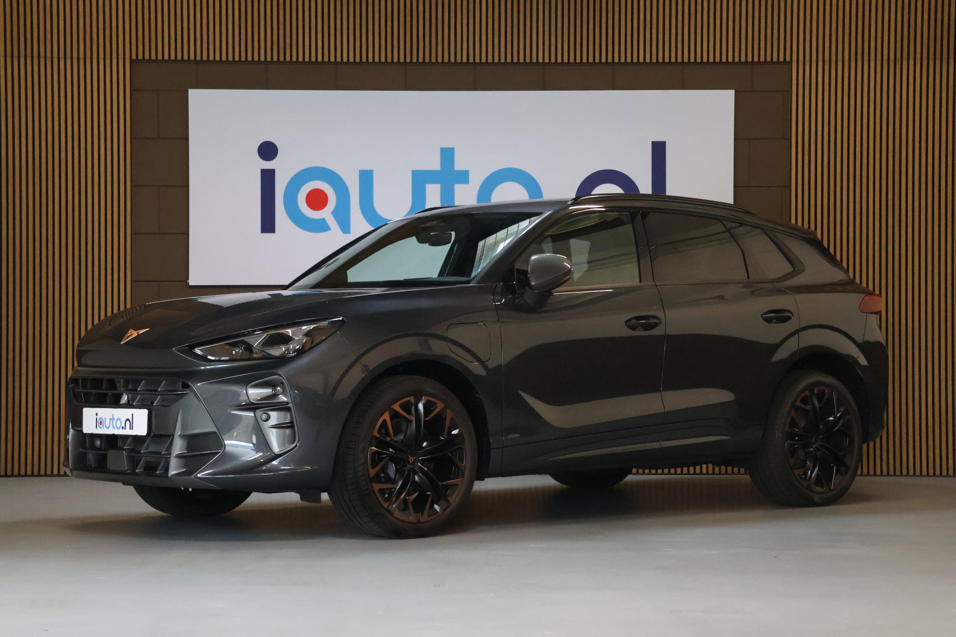 Foto van CUPRA Terramar