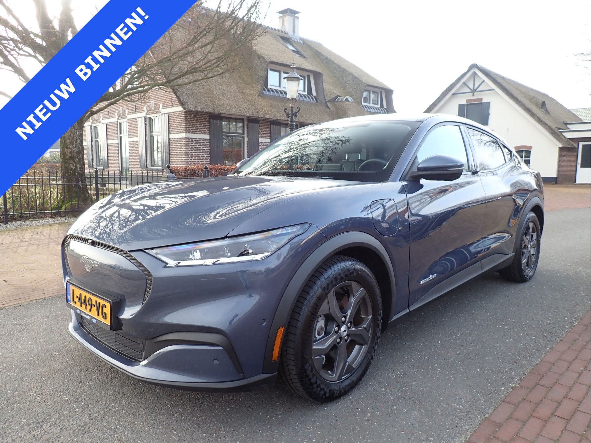 Foto van Ford Mustang Mach-E