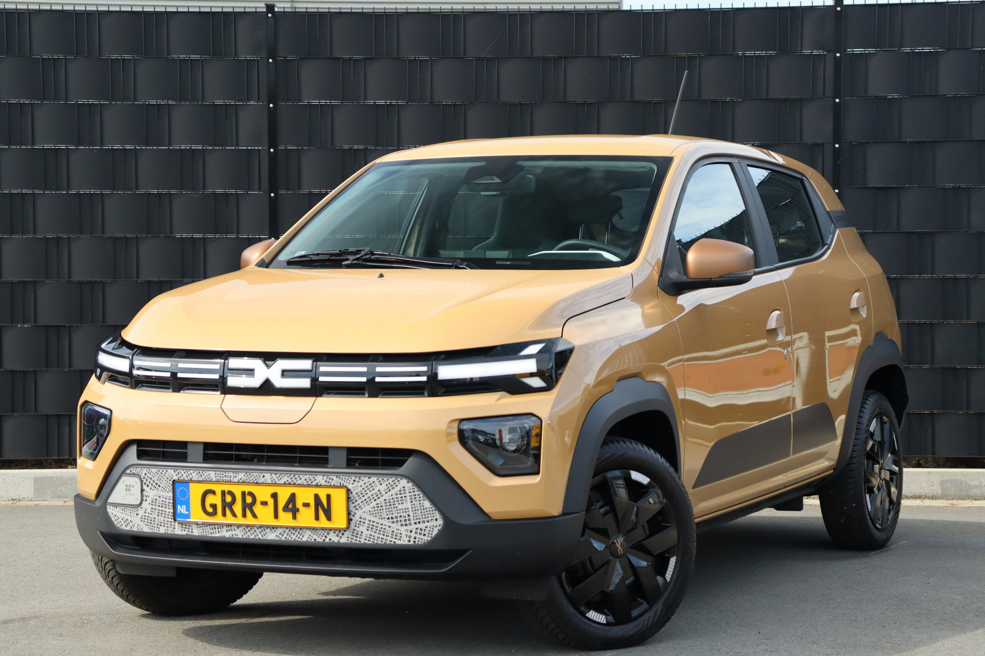 Foto van Dacia Spring