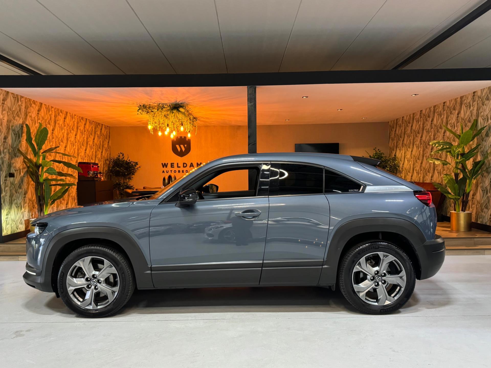 Foto van Mazda MX-30