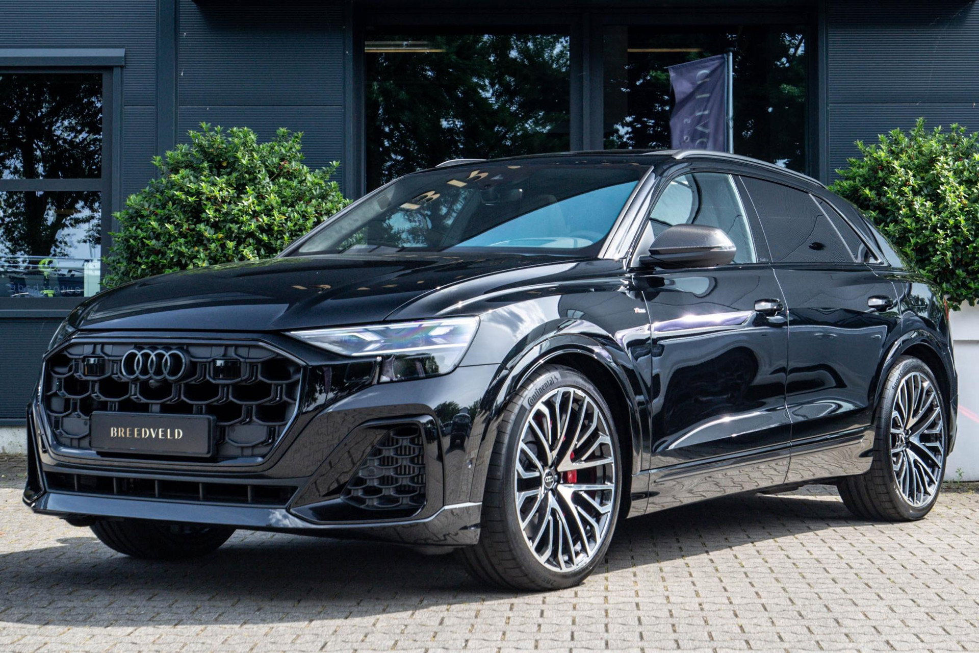 Foto van Audi Q8